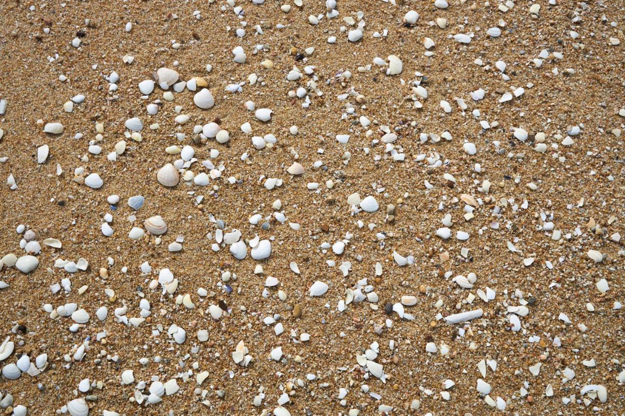 Apart@Costasantoandre Beach Santiago do Cacém Dış mekan fotoğraf