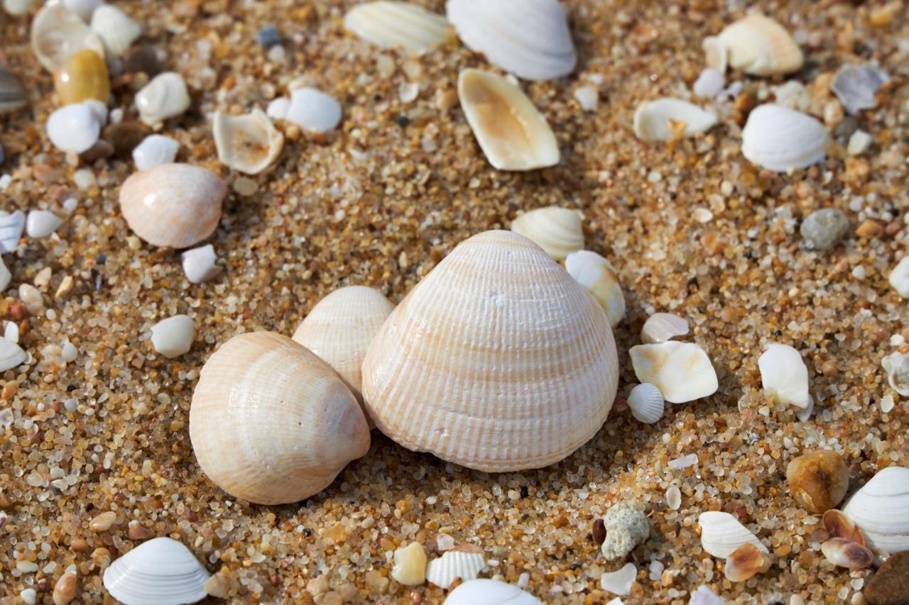 Apart@Costasantoandre Beach Santiago do Cacém Dış mekan fotoğraf