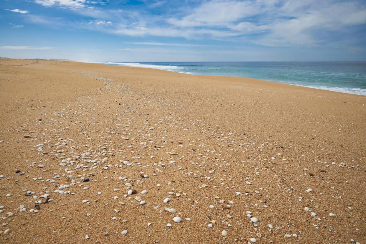 Apart@Costasantoandre Beach Santiago do Cacém Dış mekan fotoğraf
